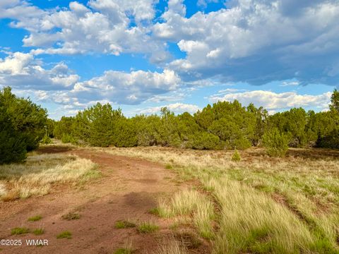 Tiny photo for 180 Co Rd 3148 Lot #1 2.1 Acres, Vernon, AZ 85940 (MLS # 255107)