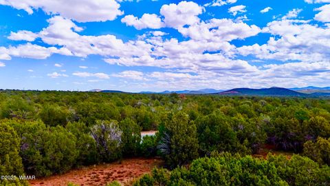 Tiny photo for 180 Co Rd 3148 Lot #1 2.1 Acres, Vernon, AZ 85940 (MLS # 255107)