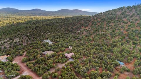 Tiny photo for 5 Apache County Road 3184, Vernon, AZ 85940 (MLS # 255803)