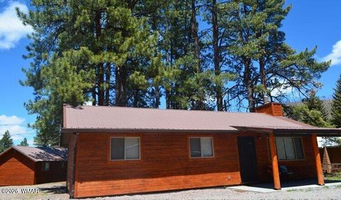 Photo of Cabin 90 Main Street, Greer, AZ 85927 (MLS # 260951)