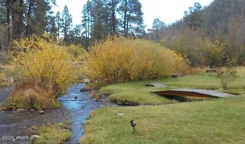 Tiny photo for Cabin 90 Main Street, Greer, AZ 85927 (MLS # 260951)
