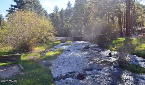 Tiny photo for Cabin 90 Main Street, Greer, AZ 85927 (MLS # 260951)