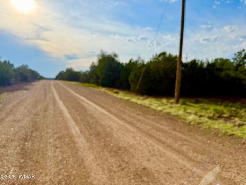 Tiny photo for 23 Co Rd 3117, Vernon, AZ 85940 (MLS # 257868)