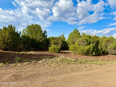 Tiny photo for 23 Co Rd 3117, Vernon, AZ 85940 (MLS # 257868)