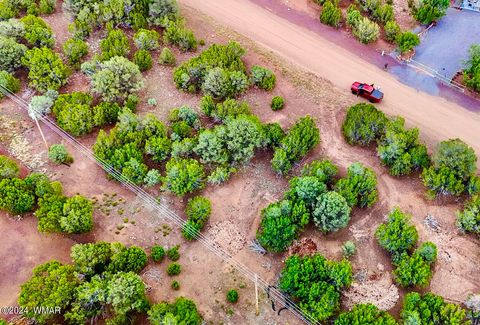 Tiny photo for 23 Co Rd 3117, Vernon, AZ 85940 (MLS # 257868)