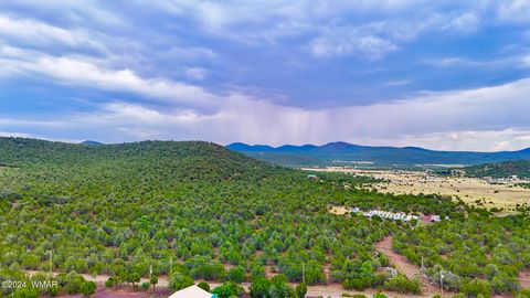 Tiny photo for 23 Co Rd 3117, Vernon, AZ 85940 (MLS # 257868)
