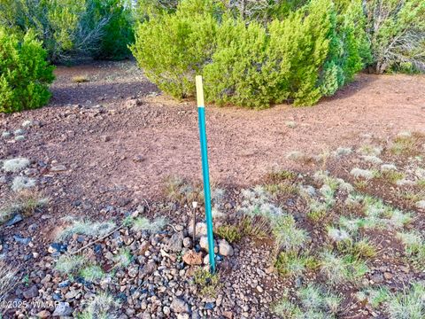 Tiny photo for 23 Co Rd 3117, Vernon, AZ 85940 (MLS # 257868)