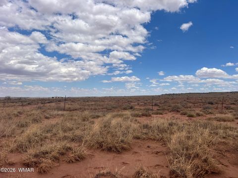 Tiny photo for 8357 Terry Trail, Snowflake, AZ 85937 (MLS # 259129)