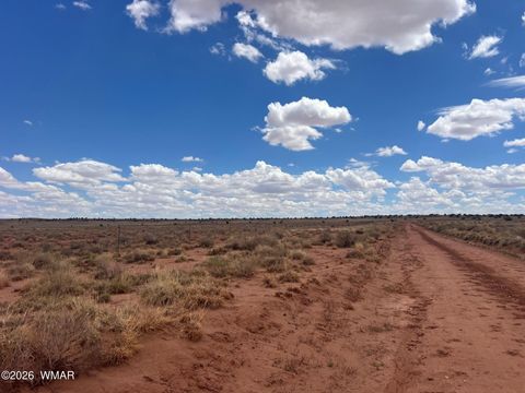 Tiny photo for 8357 Terry Trail, Snowflake, AZ 85937 (MLS # 259129)