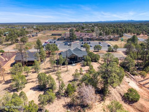 Tiny photo for 1022 School House Lane, Show Low, AZ 85901 (MLS # 258870)