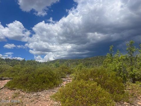 Tiny photo for Lot 015 Fieldy Road, Show Low, AZ 85901 (MLS # 251615)