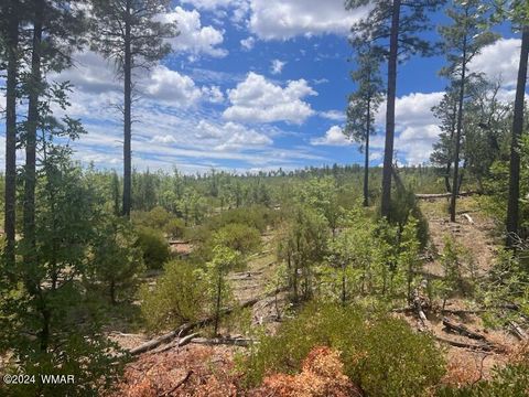 Tiny photo for Lot 015 Fieldy Road, Show Low, AZ 85901 (MLS # 251615)