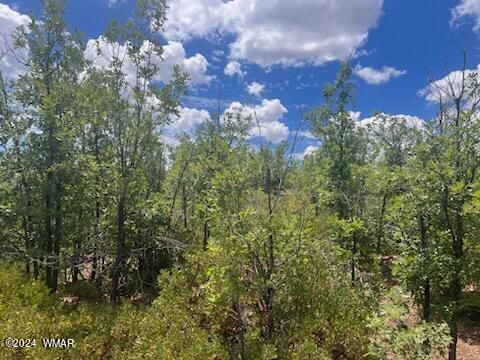 Tiny photo for Lot 015 Fieldy Road, Show Low, AZ 85901 (MLS # 251615)