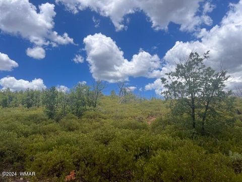 Tiny photo for Lot 015 Fieldy Road, Show Low, AZ 85901 (MLS # 251615)