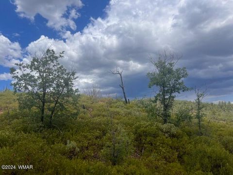 Tiny photo for Lot 015 Fieldy Road, Show Low, AZ 85901 (MLS # 251615)