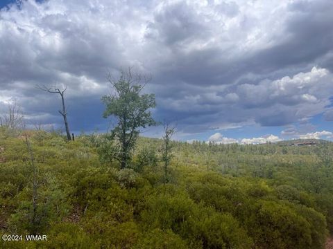 Tiny photo for Lot 015 Fieldy Road, Show Low, AZ 85901 (MLS # 251615)
