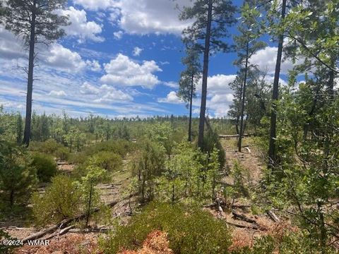 Tiny photo for Lot 015 Fieldy Road, Show Low, AZ 85901 (MLS # 251615)