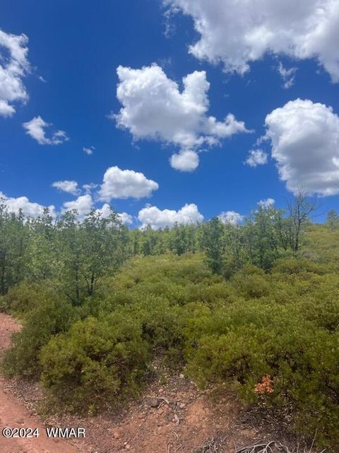 Tiny photo for Lot 015 Fieldy Road, Show Low, AZ 85901 (MLS # 251615)