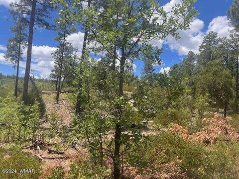 Tiny photo for Lot 015 Fieldy Road, Show Low, AZ 85901 (MLS # 251615)