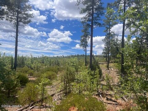 Tiny photo for Lot 015 Fieldy Road, Show Low, AZ 85901 (MLS # 251615)