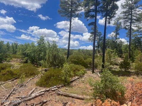 Tiny photo for Lot 015 Fieldy Road, Show Low, AZ 85901 (MLS # 251615)