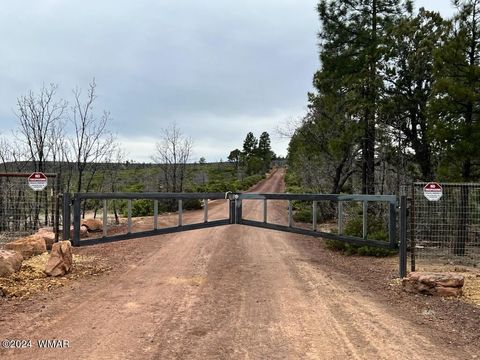Photo of Lot 015 Fieldy Road, Show Low, AZ 85901 (MLS # 251615)