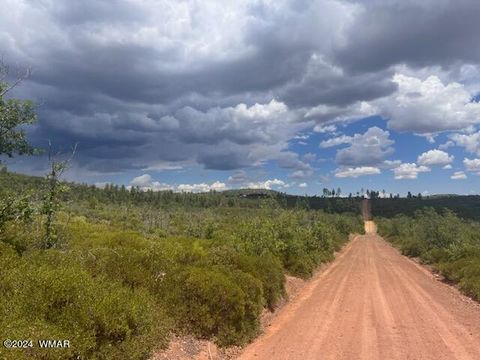 Tiny photo for Lot 015 Fieldy Road, Show Low, AZ 85901 (MLS # 251615)