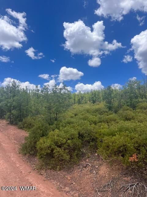 Tiny photo for Lot 015 Fieldy Road, Show Low, AZ 85901 (MLS # 251615)