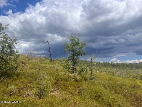 Tiny photo for Lot 015 Fieldy Road, Show Low, AZ 85901 (MLS # 251615)