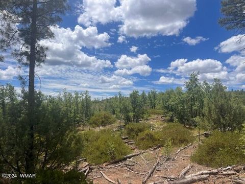 Tiny photo for Lot 015 Fieldy Road, Show Low, AZ 85901 (MLS # 251615)