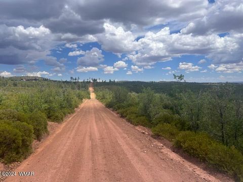 Tiny photo for Lot 015 Fieldy Road, Show Low, AZ 85901 (MLS # 251615)