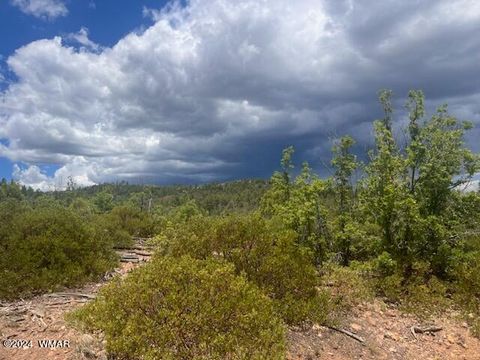 Tiny photo for Lot 015 Fieldy Road, Show Low, AZ 85901 (MLS # 251615)