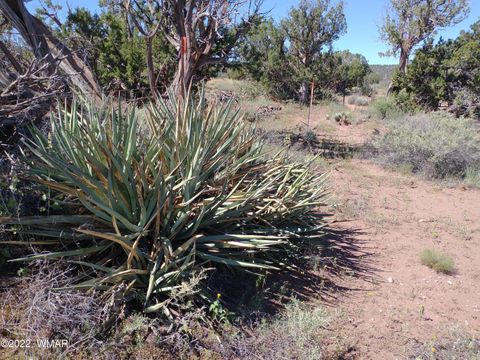 Tiny photo for 4056 Sorrel Road, Snowflake, AZ 85937 (MLS # 243827)