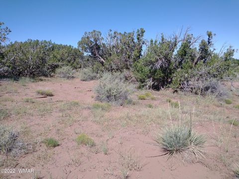 Tiny photo for 4056 Sorrel Road, Snowflake, AZ 85937 (MLS # 243827)