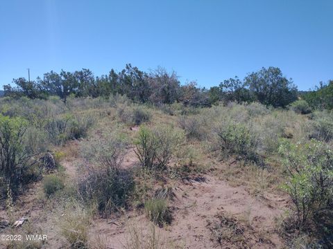 Tiny photo for 4056 Sorrel Road, Snowflake, AZ 85937 (MLS # 243827)
