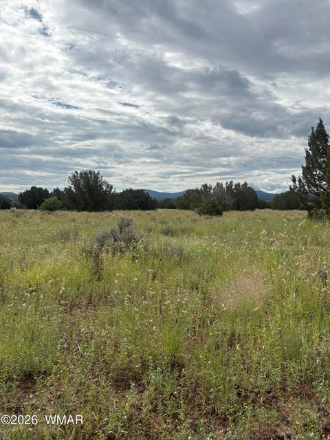 Tiny photo for 147 County Road 3149, Vernon, AZ 85940 (MLS # 263347)