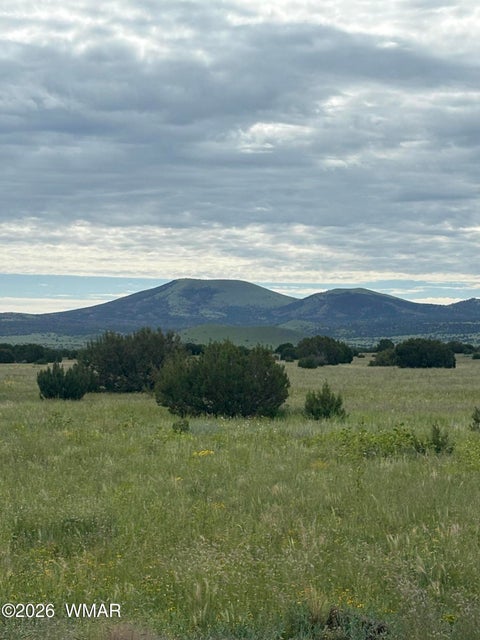 Photo of 147 County Road 3149, Vernon, AZ 85940 (MLS # 263347)