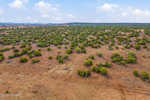 Tiny photo for TBD Silver Lake Blvd 16.32 Acres, Show Low, AZ 85901 (MLS # 258762)