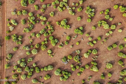 Tiny photo for TBD Silver Lake Blvd 16.32 Acres, Show Low, AZ 85901 (MLS # 258762)