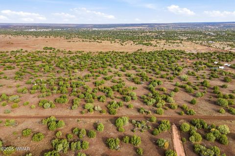 Tiny photo for TBD Silver Lake Blvd 16.32 Acres, Show Low, AZ 85901 (MLS # 258762)