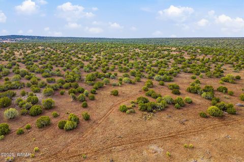 Tiny photo for TBD Silver Lake Blvd 16.32 Acres, Show Low, AZ 85901 (MLS # 258762)
