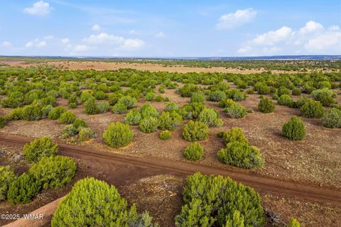 Tiny photo for TBD Silver Lake Blvd 16.32 Acres, Show Low, AZ 85901 (MLS # 258762)