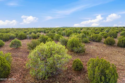 Tiny photo for TBD Silver Lake Blvd 16.32 Acres, Show Low, AZ 85901 (MLS # 258762)