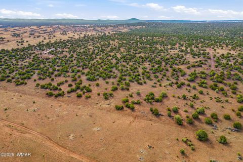 Tiny photo for TBD Silver Lake Blvd 16.32 Acres, Show Low, AZ 85901 (MLS # 258762)