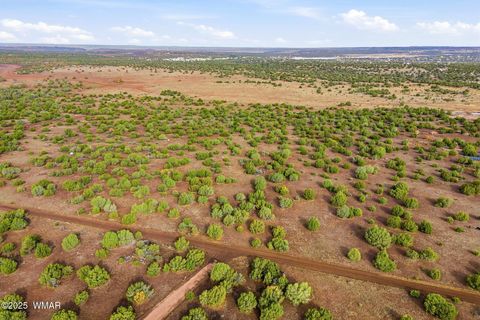 Tiny photo for TBD Silver Lake Blvd 16.32 Acres, Show Low, AZ 85901 (MLS # 258762)