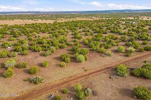 Tiny photo for TBD Silver Lake Blvd 16.32 Acres, Show Low, AZ 85901 (MLS # 258762)