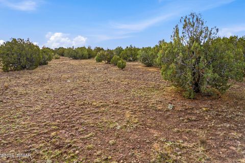 Tiny photo for TBD Silver Lake Blvd 16.32 Acres, Show Low, AZ 85901 (MLS # 258762)
