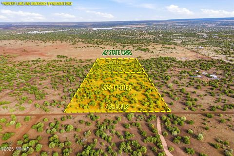 Photo of TBD Silver Lake Blvd 16.32 Acres, Show Low, AZ 85901 (MLS # 258762)