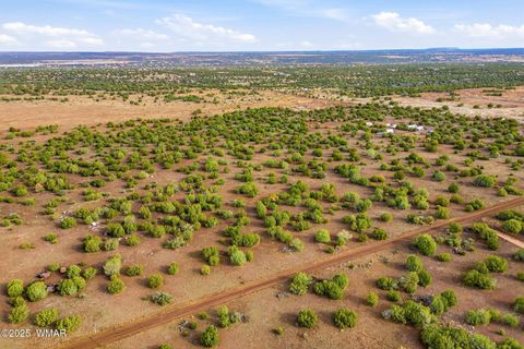 Tiny photo for TBD Silver Lake Blvd 16.32 Acres, Show Low, AZ 85901 (MLS # 258762)