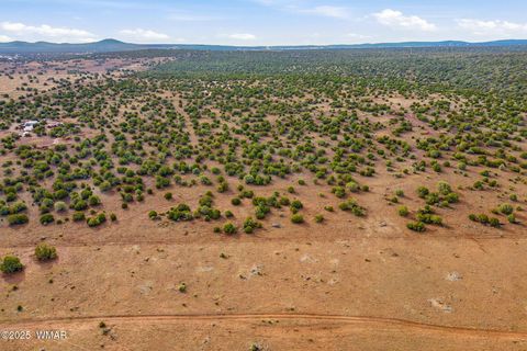 Tiny photo for TBD Silver Lake Blvd 16.32 Acres, Show Low, AZ 85901 (MLS # 258762)